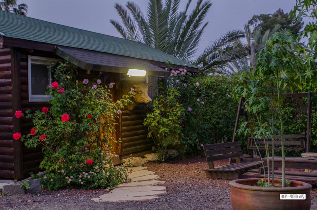 Moon Light Yavne'El Villa Luaran gambar